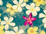 Flowers_In_Water.jpg